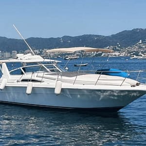 Coyote II (Sea Ray 40") Renta de Yates en Acapulco