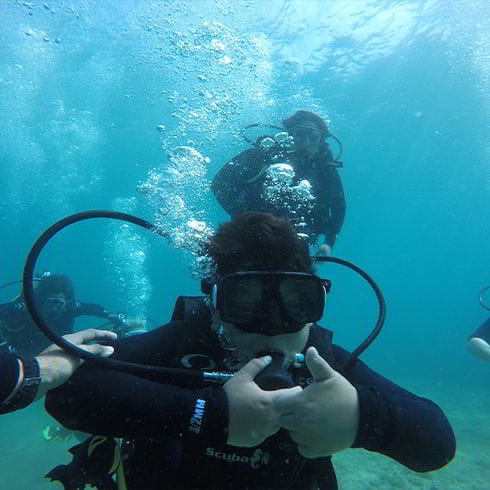 Buceo para principiantes en acapulco
