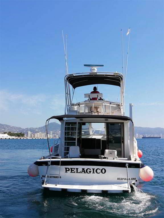 Pelagico (Striker 48") renta de yates en Acapulco